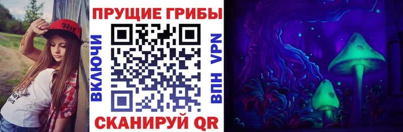 где найти наркотики  Павловск  Галлюциногенные грибы Psilocybine cubensis 
